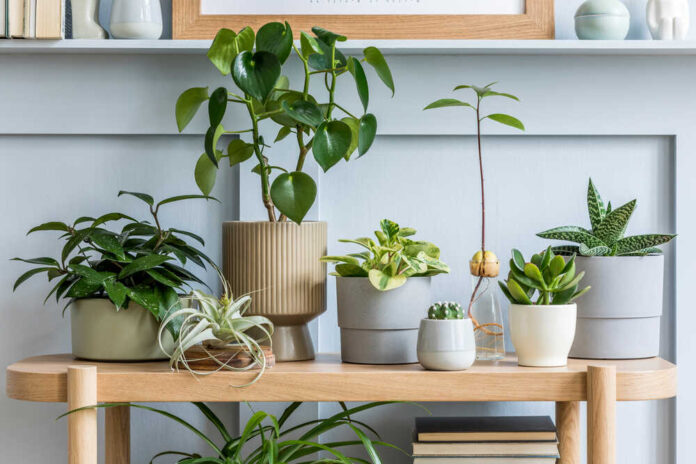 How to Improve the Air Quality in Your Home